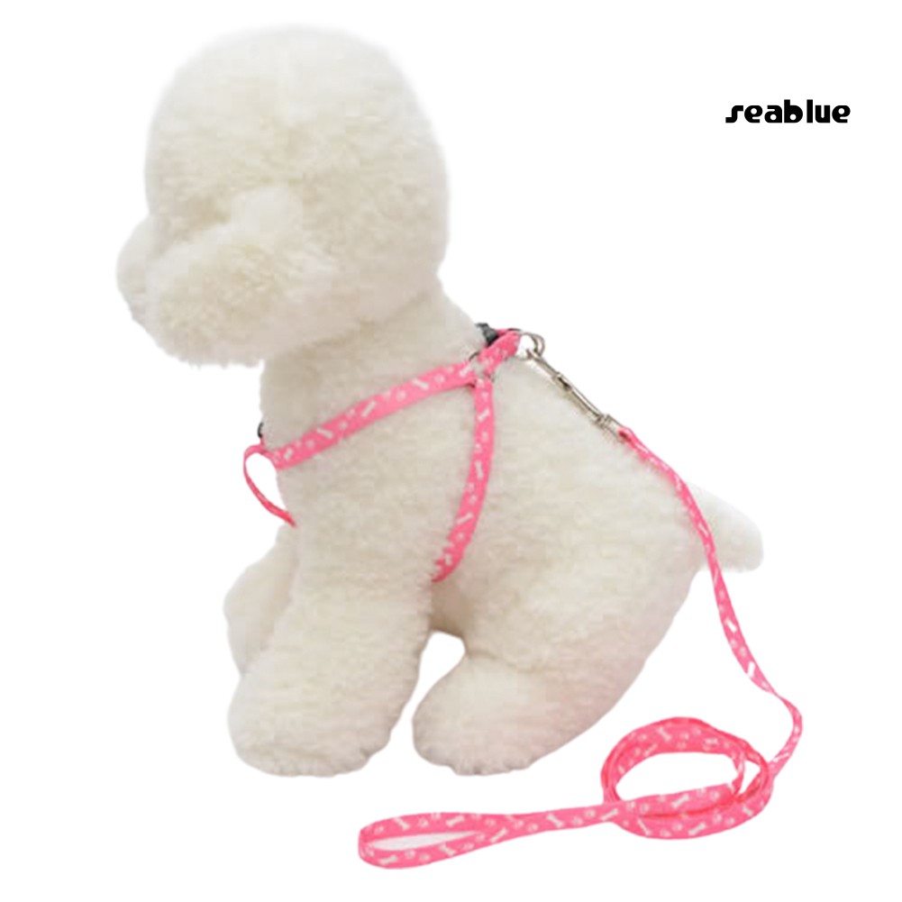 Dây Dắt Thú Cưng Đi Dạo Nhiều Màu Sắc 120cm