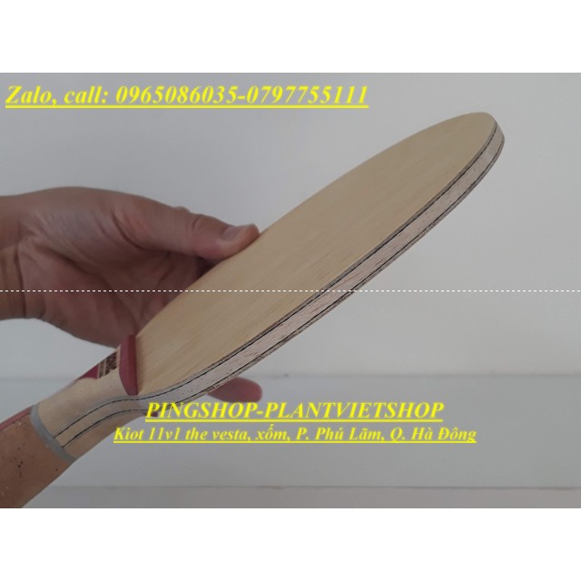 Cốt vợt bóng bàn DONIC WALDNER DOTEC CARBON