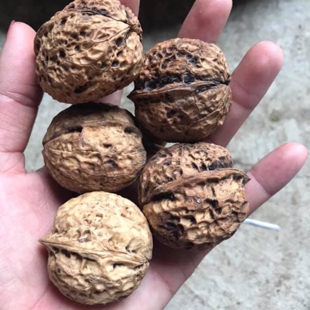 Óc chó khô 1kg