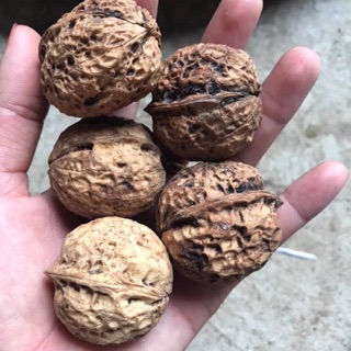 Óc chó khô 1kg