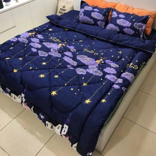 Bộ chăn phao ga gối Kho hàng HCM-1M4X2M sao rơi