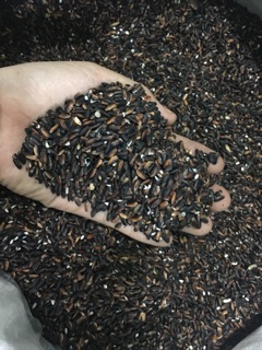 1kg Gạo nếp cẩm Điện Biên