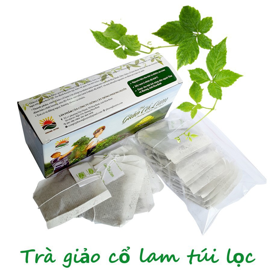 Hộp Trà giảo cổ lam túi lọc Phương Huyền 30g (15 túi x 2g) thảo dược quý của Hòa Bình - NPP HS Shop Sài Gòn