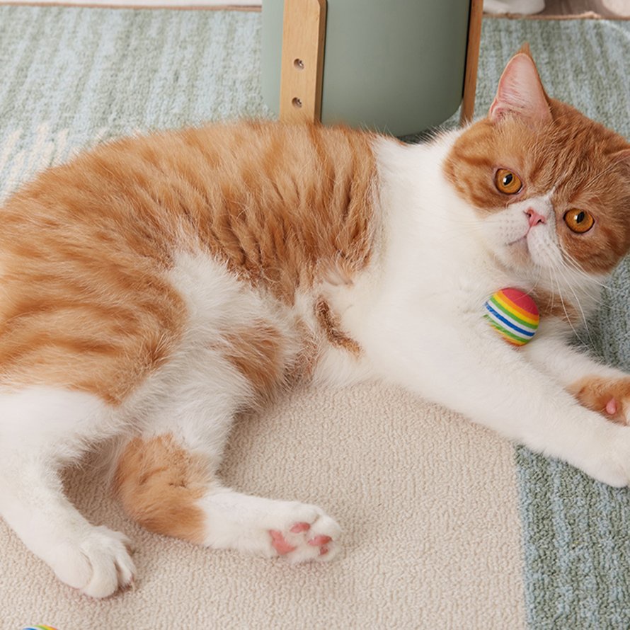 Quả bóng cao su đồ chơi dễ thương cho thú cưng