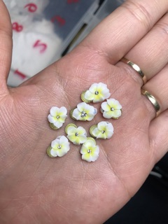 Hoa bột đính móng chân và tay