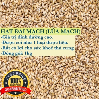 1KG HẠT ĐẠI MẠCH (LÚA MẠCH) nguyên vỏ (nguyên liệu làm bia).