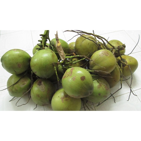 Dừa Xiêm Bến Tre ngọt lành nhiều nước - Giao Siêu Tốc 1h