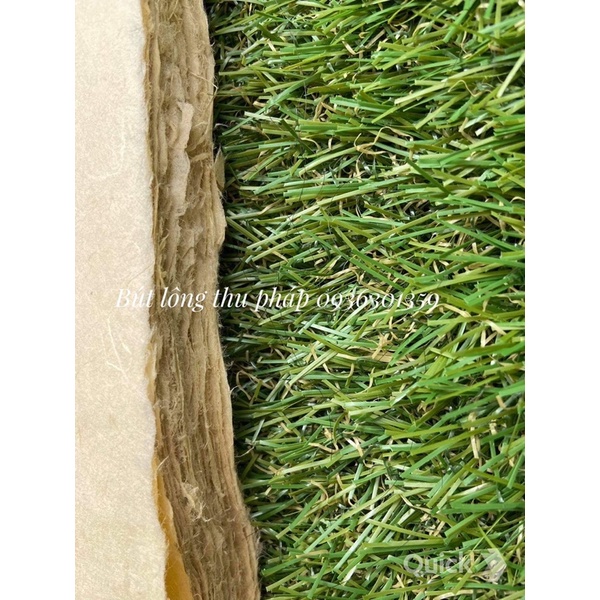 Giấy Dó Việt Nam