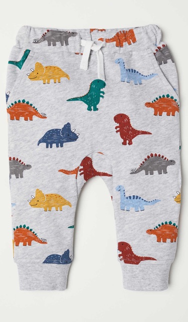 Bộ nỉ khủng long HM auth (hàng sẵn có ảnh thật)