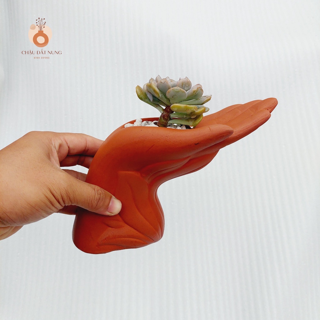 Chậu đất nung, Chậu sen đá - Bàn tay của người tôi yêu, miệng chậu 6cm, chiều cao 15cm