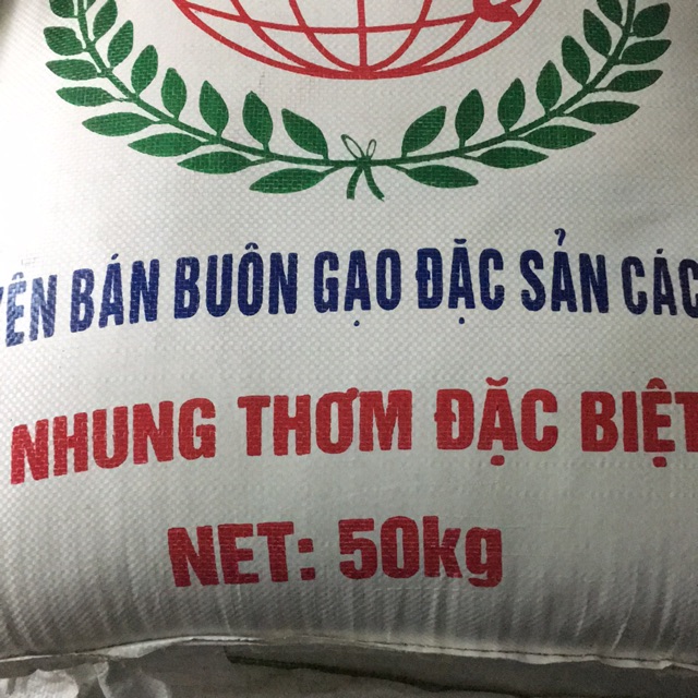 Gạo nếp nhung thơm đặc biệt cung cấp sỉ đến các shop xôi ngon, gạo nếp mới