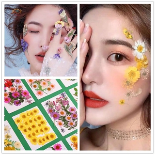VN Hoa Ép Khô Dùng Trang Trí Diy
