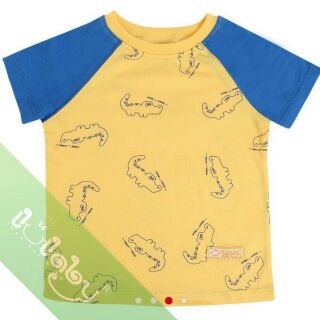 Áo rời cộc tay raglan- cổ nẹp lullaby