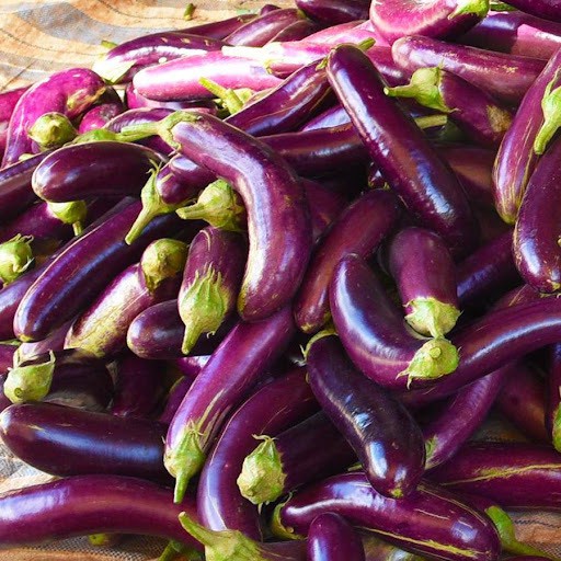 Hạt giống cà tím F1 loại siêu trái dễ trồng kháng sâu bệnh năng xuất cao [ gói 50gram,100gram,200gram ]