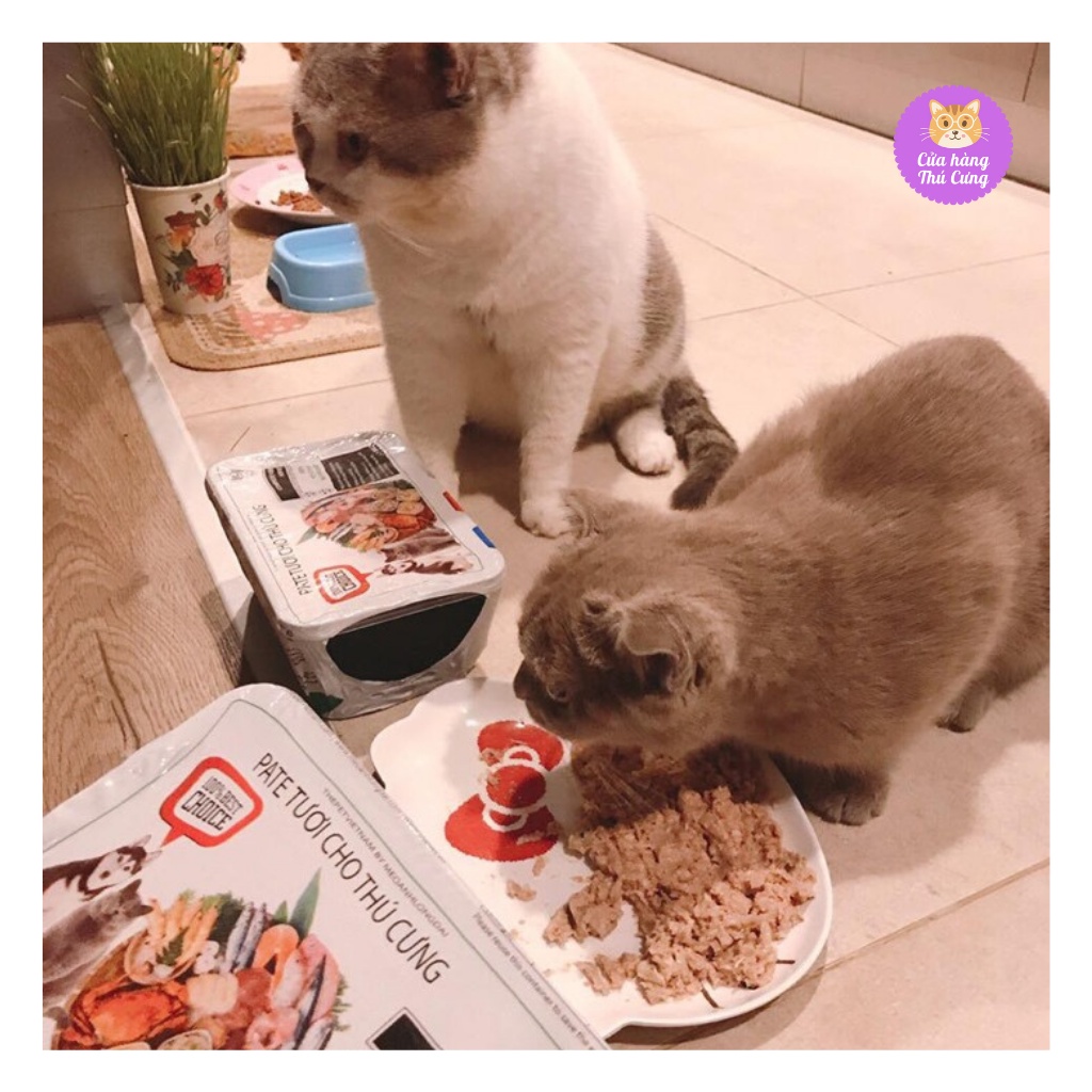 Pate Tươi The Pet Vị Cá Collagen Hộp 1Kg Giúp Chó Mèo Đẹp Da, Mượt Lông