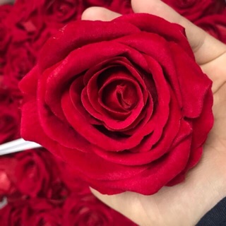 Sỉ đầu bông hồng lụa cao cấp