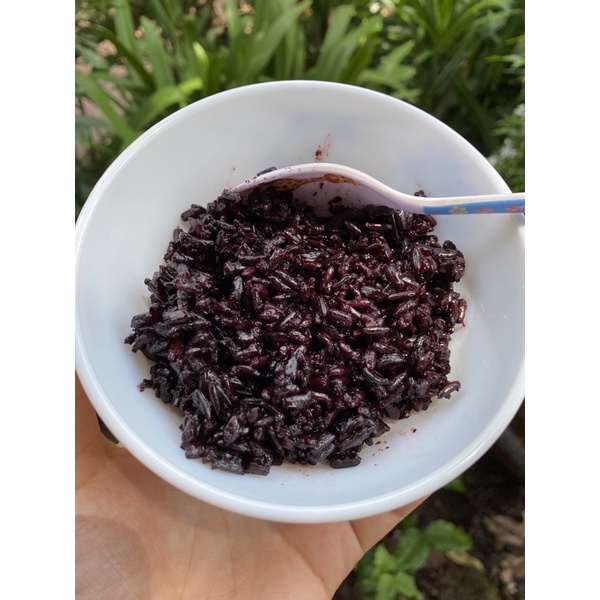 1kg Gạo lứt Đen Điện Biên ăn kiêng hay nấu Sữa hạt