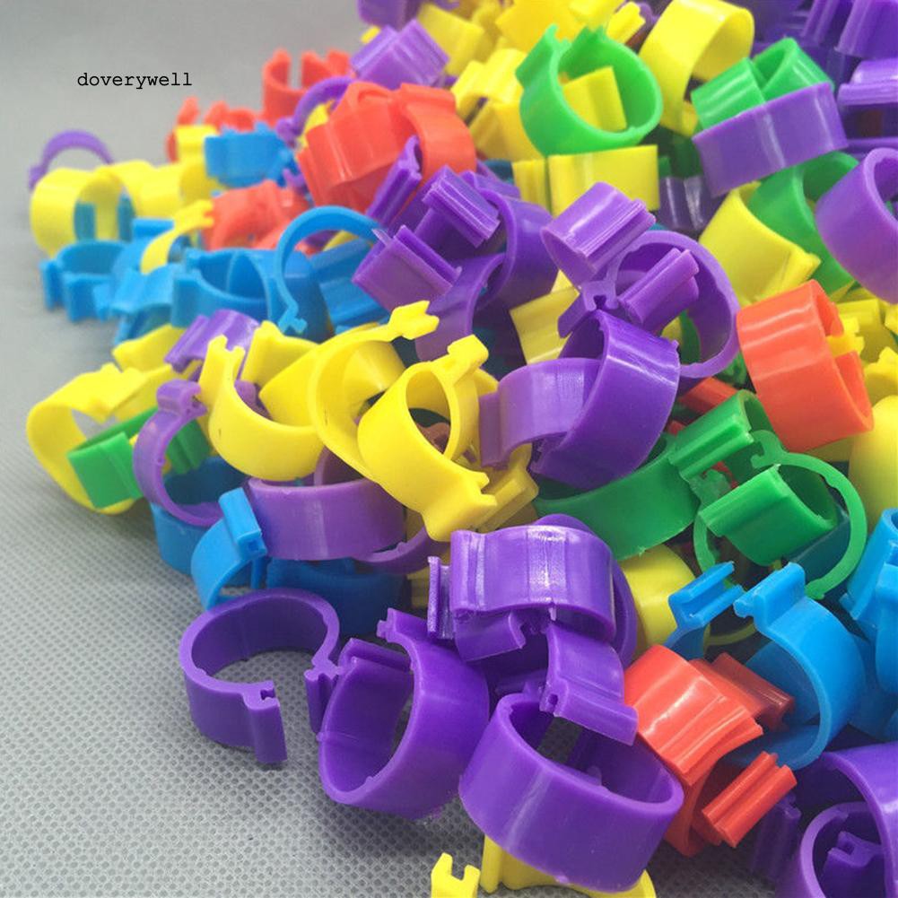 Set 100 vòng kẹp chân đánh dấu cho chim bồ câu tiện dụng