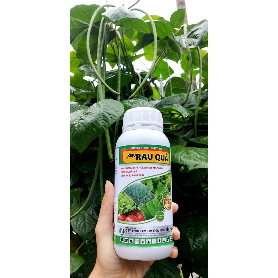 SIÊU RAU QUẢ 500ML giúp mập cộng xanh lá, lá to nở bụi tốt, bóng trái