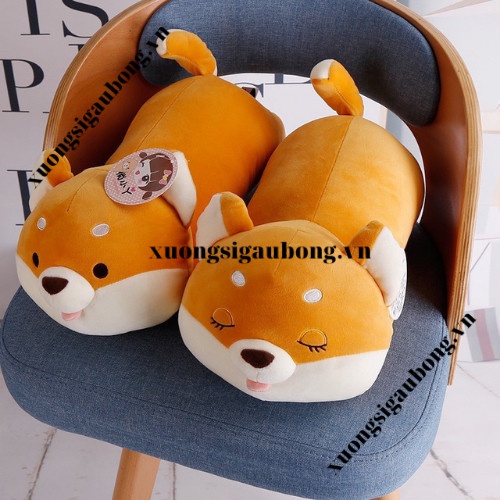 Gấu Bông Chó Shiba Ngủ , Shiba Mắt Tròn Tinh Nghịch