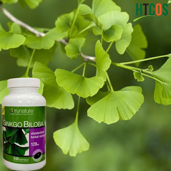 Viên uống bổ não Ginkgo Biloba 120mg chai 340 viên