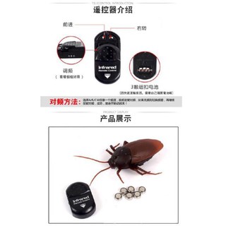 Gián Điều Khiển Từ Xa