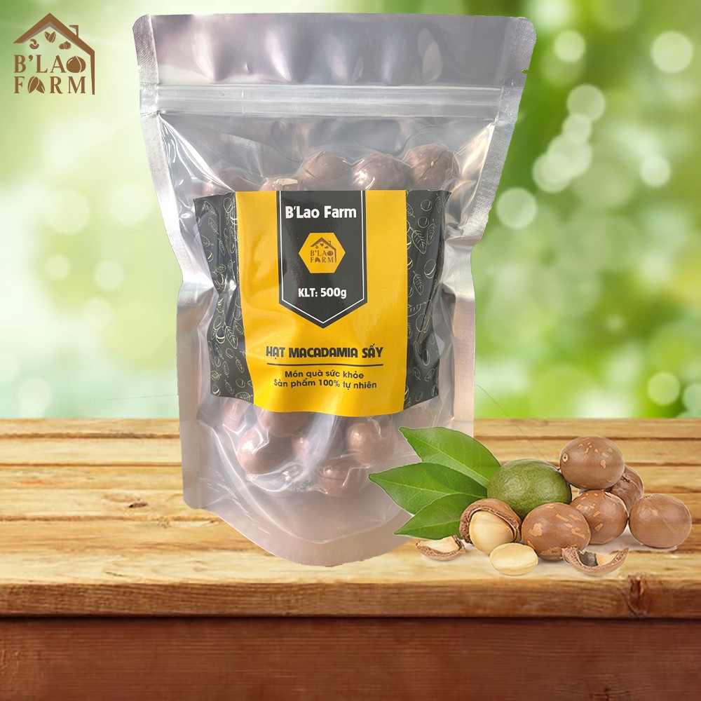 [Túi 500g] Hạt Macca Blao Sấy Nứt Vỏ Tự Nhiên Loại 1 Túi 500g Kèm Đồ Tách Vỏ