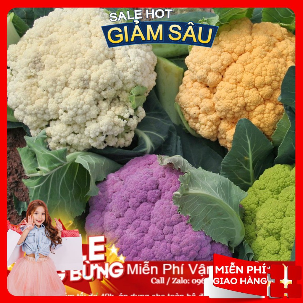 Hạt Giống Súp Lơ Mix - 20 Hạt / Gói