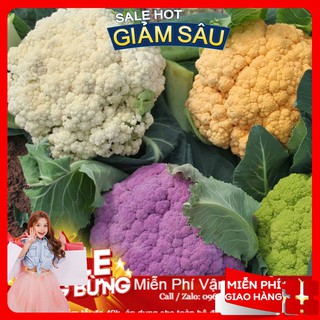 Hạt giống súp lơ mix - 20 hạt / gói