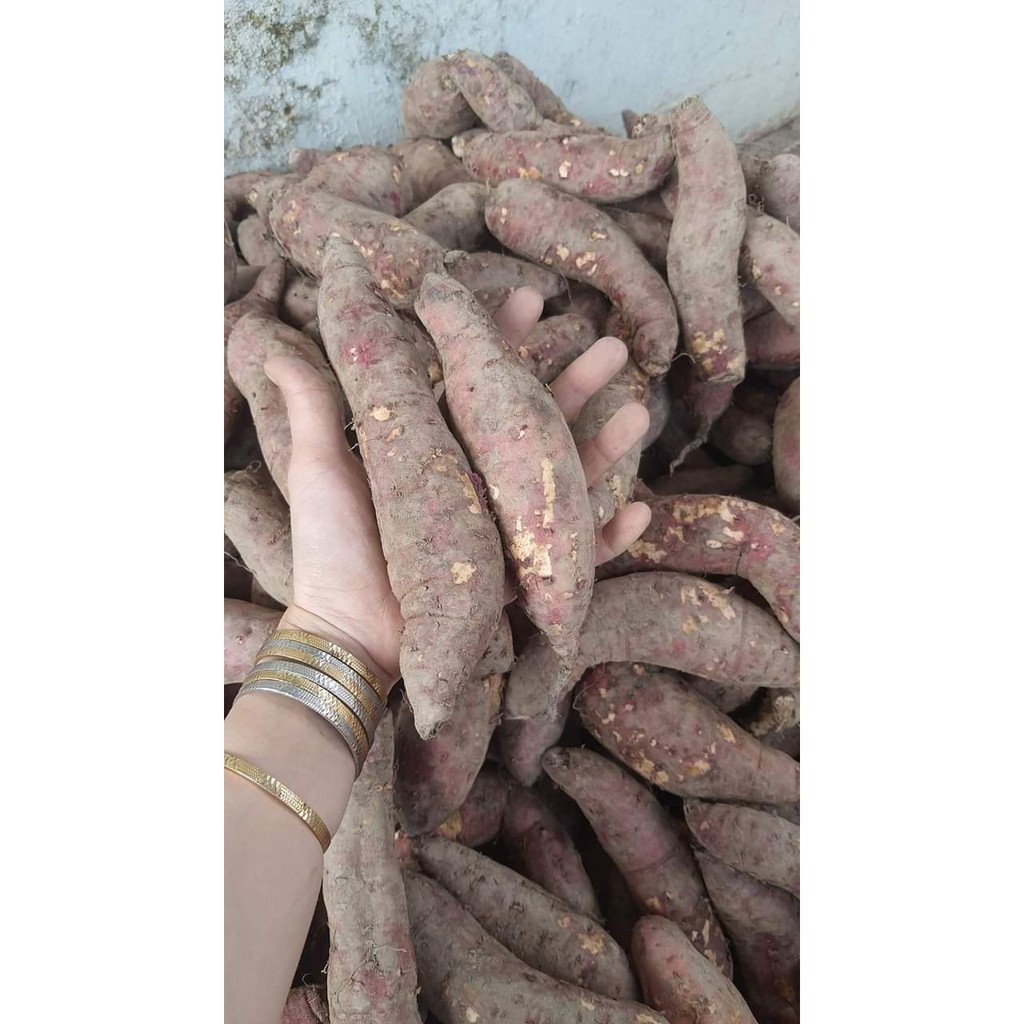 Khoai Lang Mật Chuẩn Tà Nung Đà Lạt  ở TP HÀ NỘI.