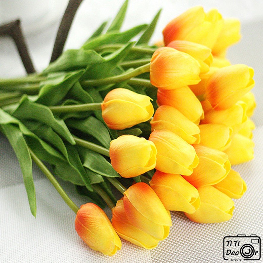 Hoa tulip trang trí chụp ảnh, decor nhà cửa, cửa hàng