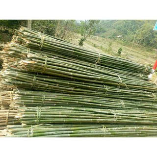 Ống Tre Nấu Cơm Lam