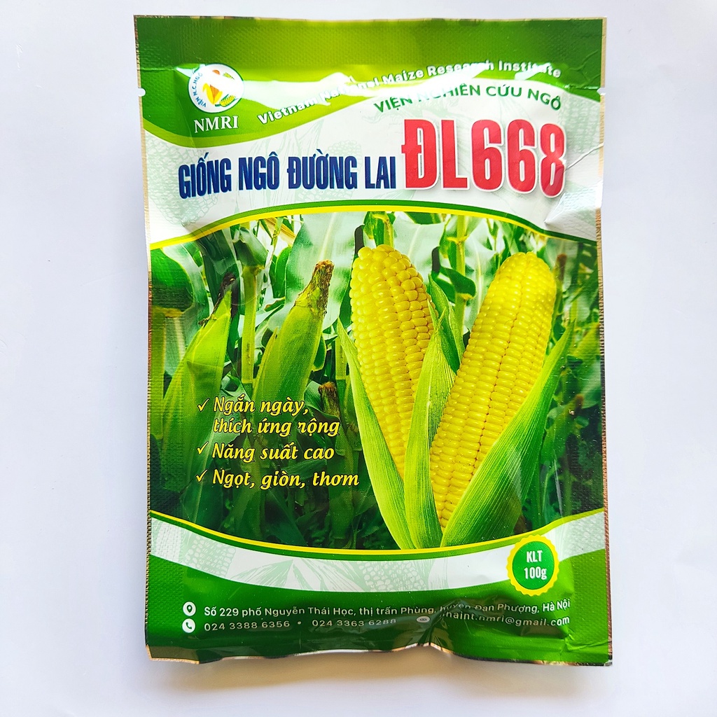 Giống Ngô Ngọt ĐL668