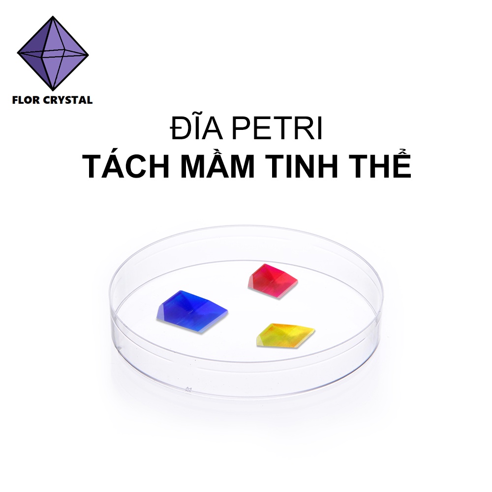 Đĩa petri nhựa tách chọn mầm tinh thể