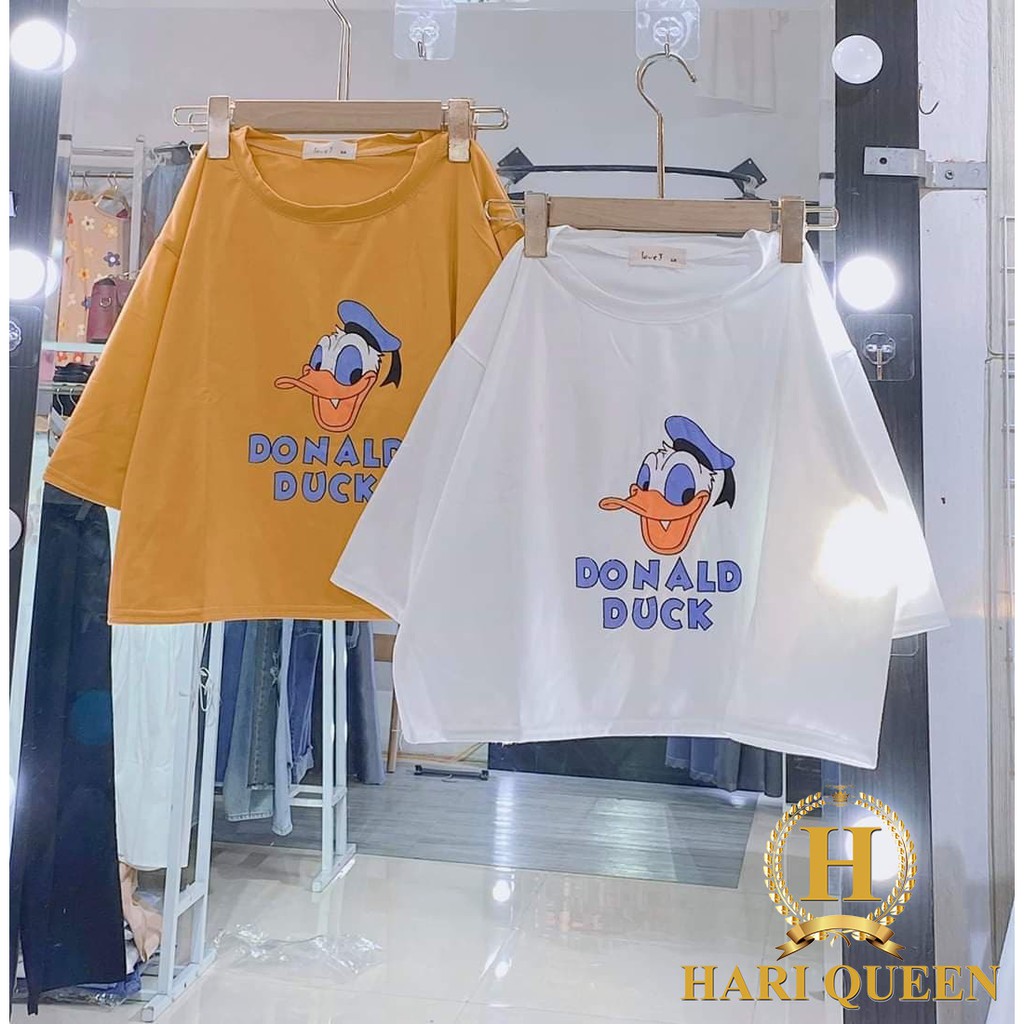 Áo croptop chó Apollo DTR0620
