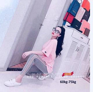 SÉT BỘ NỮ THUN COTTON CAO CẤP MS0945