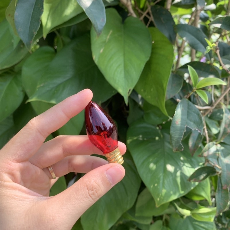 Hộp 50 Quả Nhót  Đỏ , Bóng Đèn Thờ Giá Rẻ