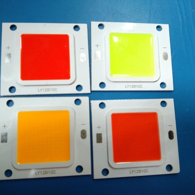 Nhân led 60w 30-34V
