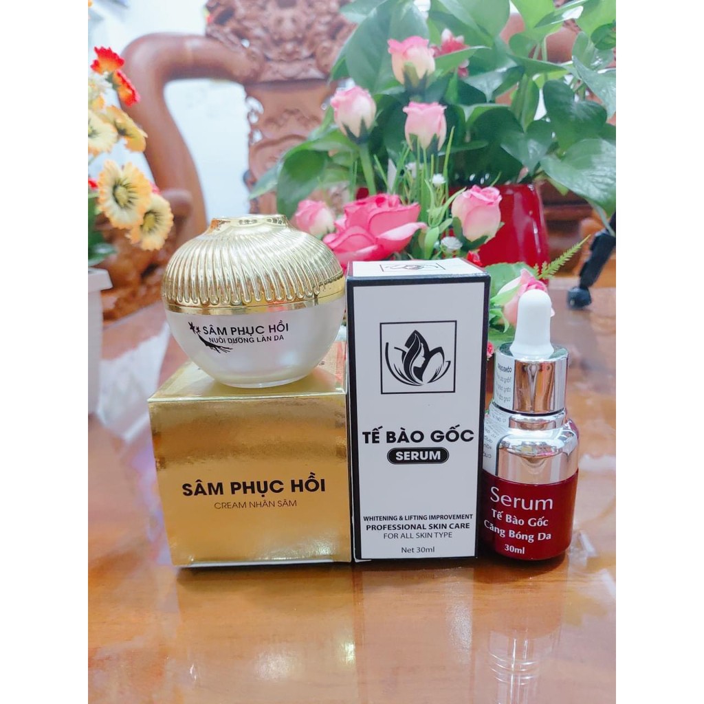 COMBO Kem Sâm Phục Hồi + Serum Tế Bào Gốc USA