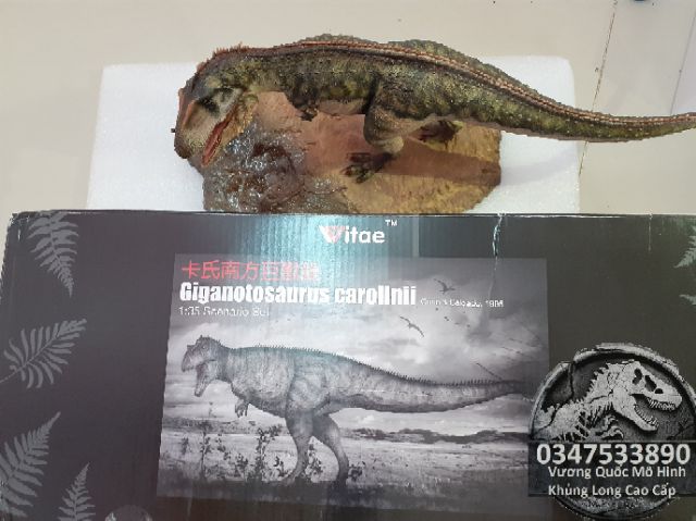 Mô hình khủng long Giganotosaurus hãng Vitae