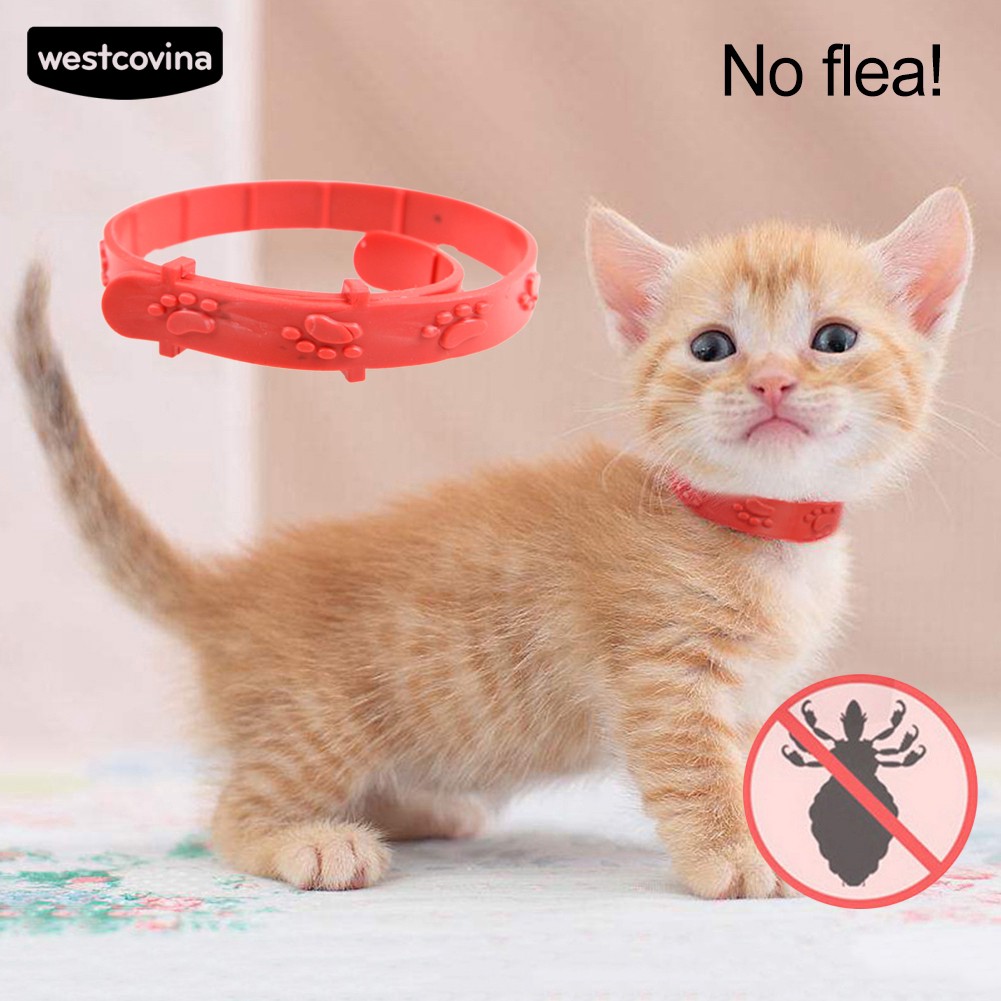 ( mới ) Vòng cổ chống bọ chét / bọ chét cho thú cưng