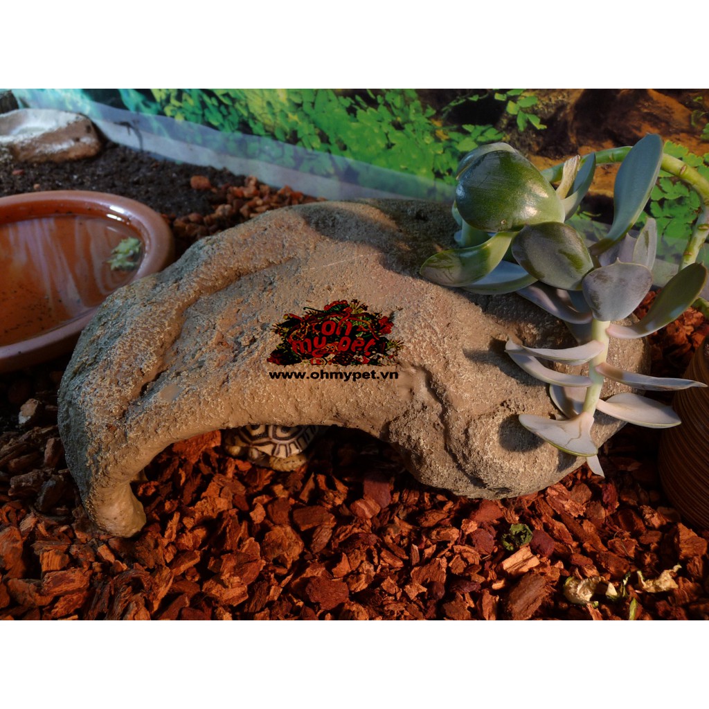 Gỗ lót chuồng cho bò sát ReptiBark    nền hoàn hảo cho các loài bò sát yêu thích độ ẩm