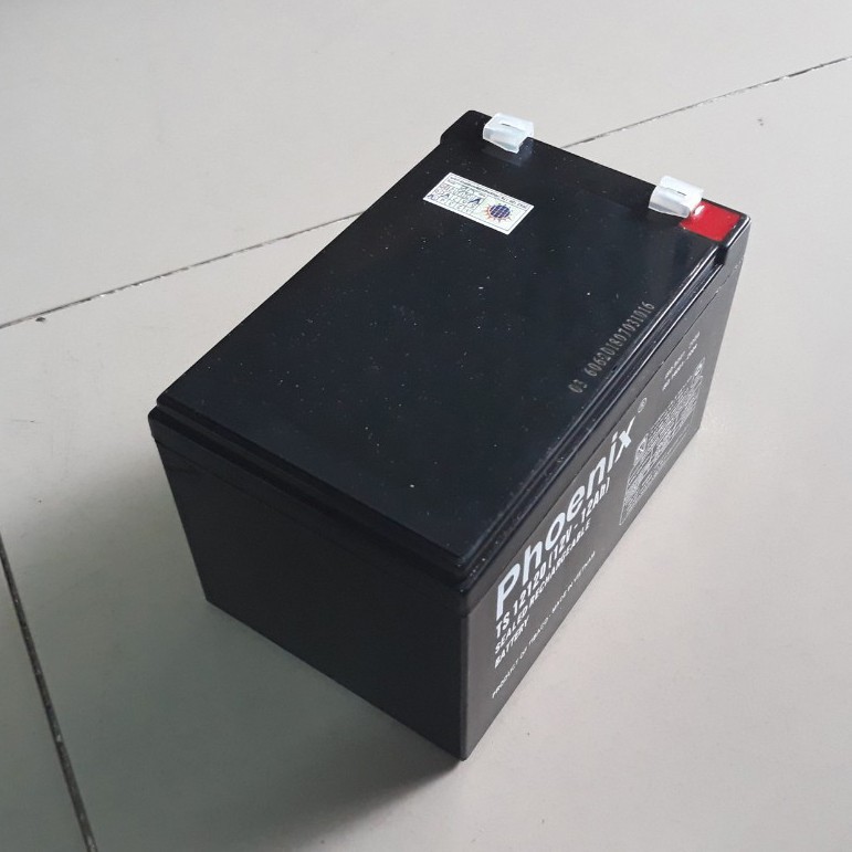 Bình ắc quy dùng cho lưu điện cửa cuốn, UPS 12V - 12A Phoenix