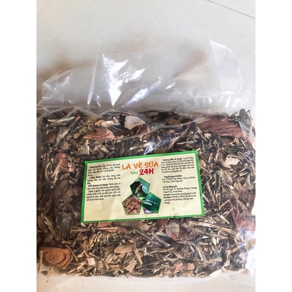 0,5 kg Lá Lợi Sữa về sữa sau 24h của công ty Dược La Hiên