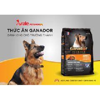 THỨC ĂN HẠT GANADOR DÀNH CHO CHÓ TRƯỞNG THÀNH