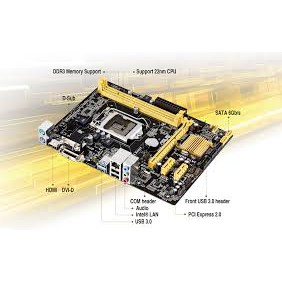 Mainboard ASUS H81M-K