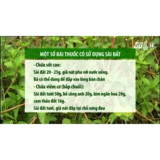cây sài đất khô 500g
