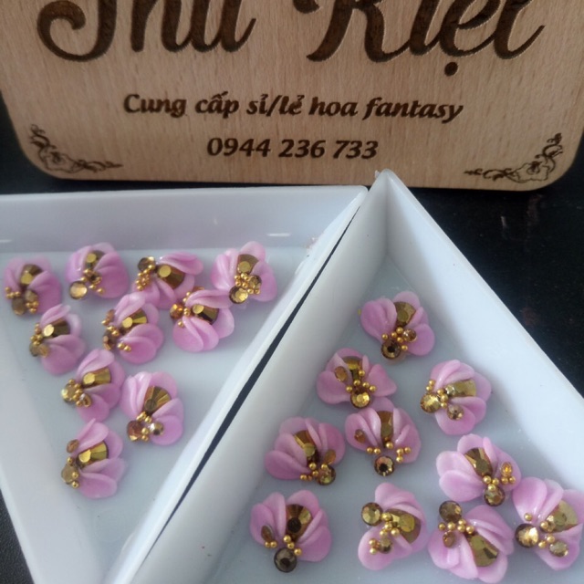 Hoa cúc nhỏ ( nail)