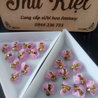 Hoa cúc nhỏ ( nail)