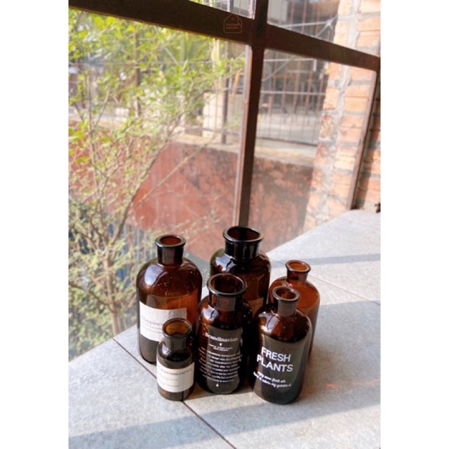 Bình bông lọ hoa thủy tinh Basic NÂU Bắc Âu trang trí nhà cửa, phòng khách có tag riêng